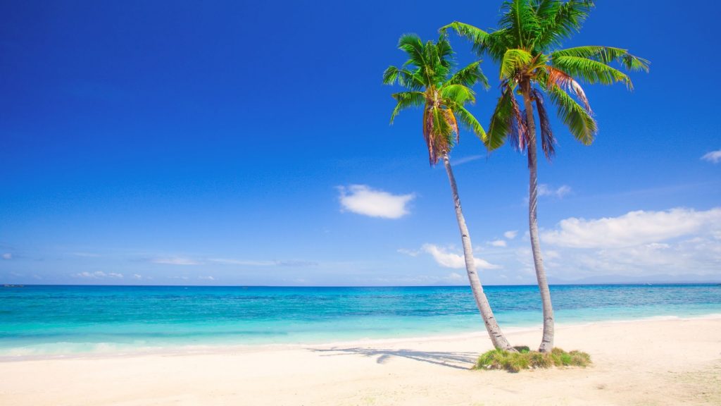 Tropical beach