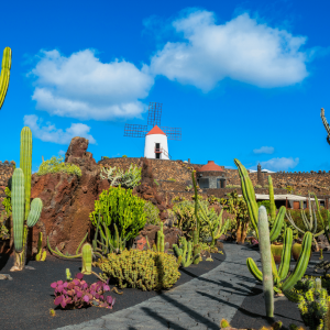 Special Holiday Offer - Lanzarote